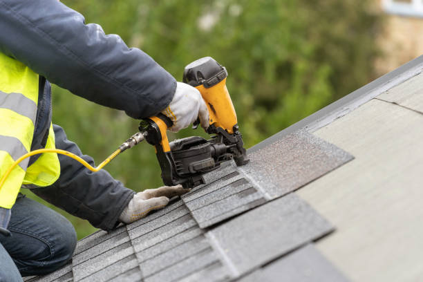 Best Roof Moss and Algae Removal  in Brownsville, TN