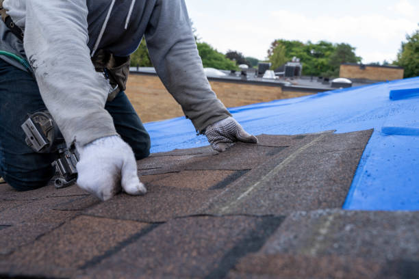 Fast & Reliable Emergency Roof Repairs in Brownsville, TN