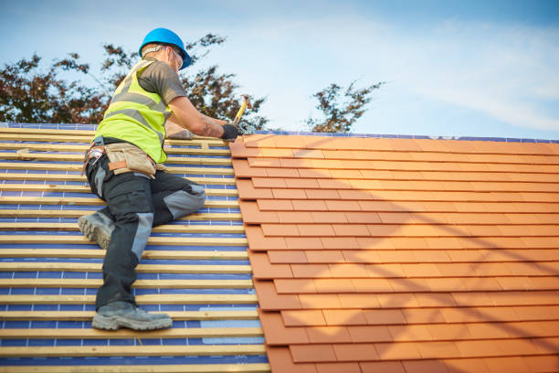 Best Roofing for New Construction  in Brownsville, TN
